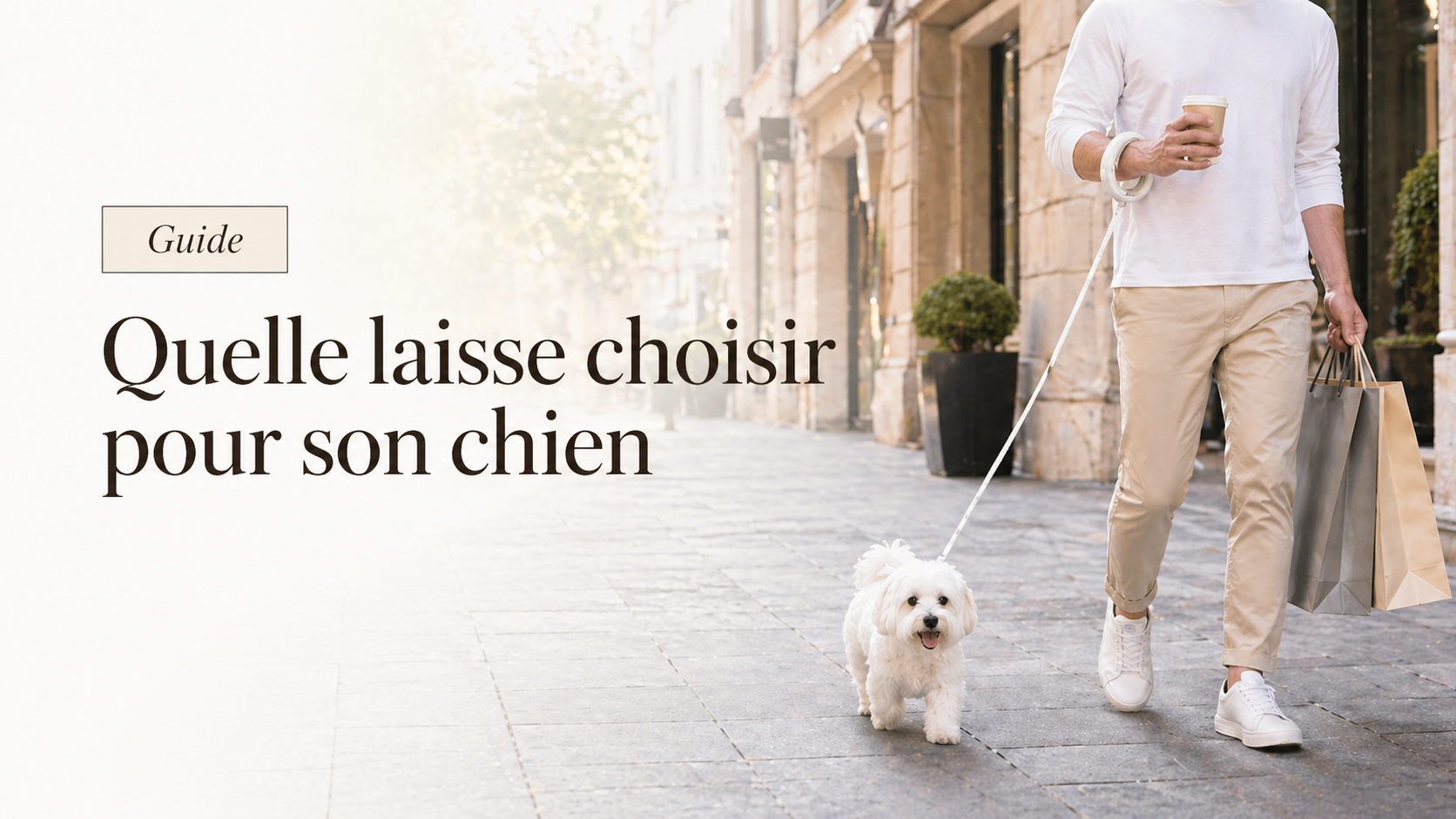 Quelle laisse choisir pour son chien ? Guide pratique pour des balades sereines Image