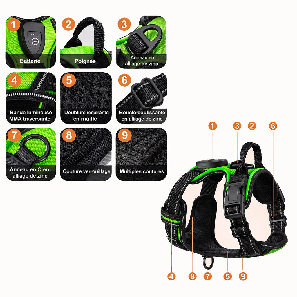 Harnais LED Anti-Traction Chien – Sécurité 360° & Confort