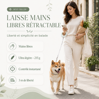 Laisse Rétractable Mains Libres Pour Chien  – 3 mètres de liberté sous contrôle