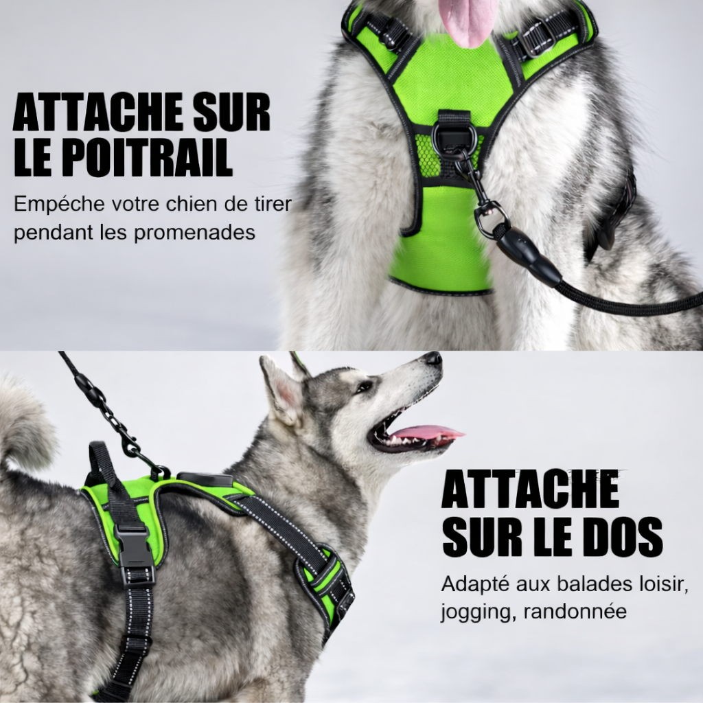 Harnais LED Anti-Traction Chien – Sécurité 360° & Confort