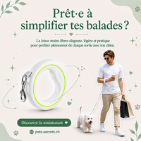 Laisse Rétractable Mains Libres Pour Chien  – 3 mètres de liberté sous contrôle