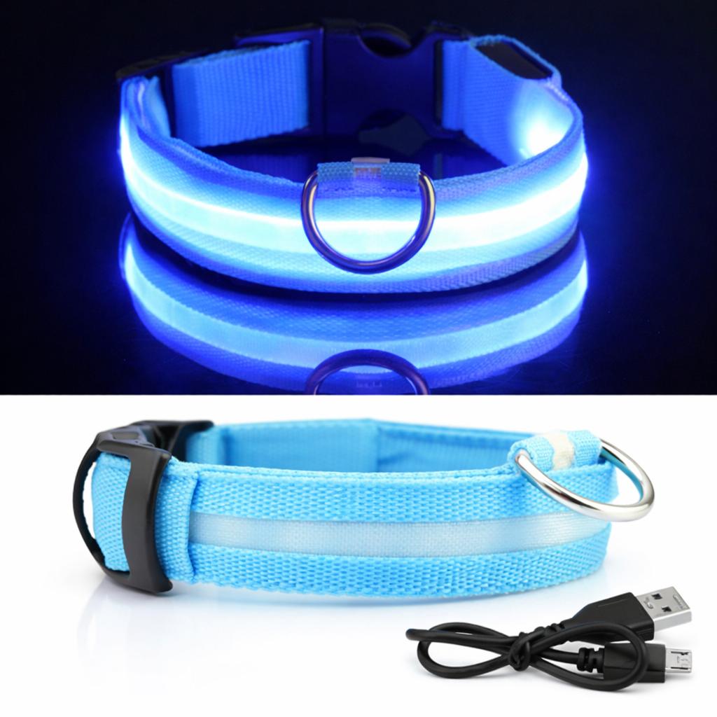 Collier LED Lumineux Pour Chien | Sécurité et visibilité la nuit