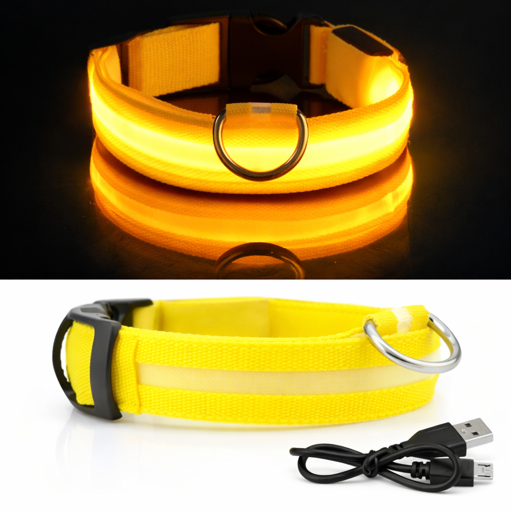 Collier LED Lumineux Pour Chien | Sécurité et visibilité la nuit