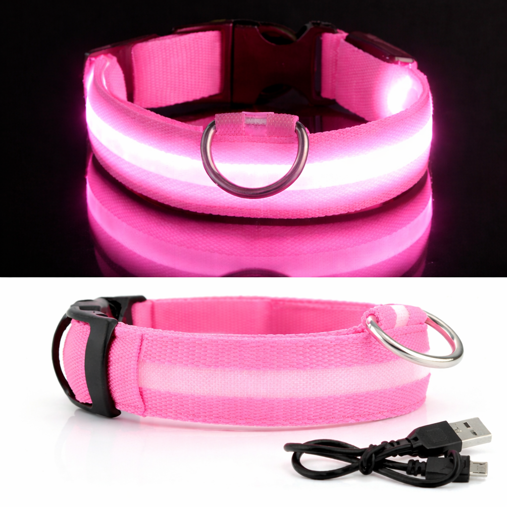 Collier LED Lumineux Pour Chien | Sécurité et visibilité la nuit