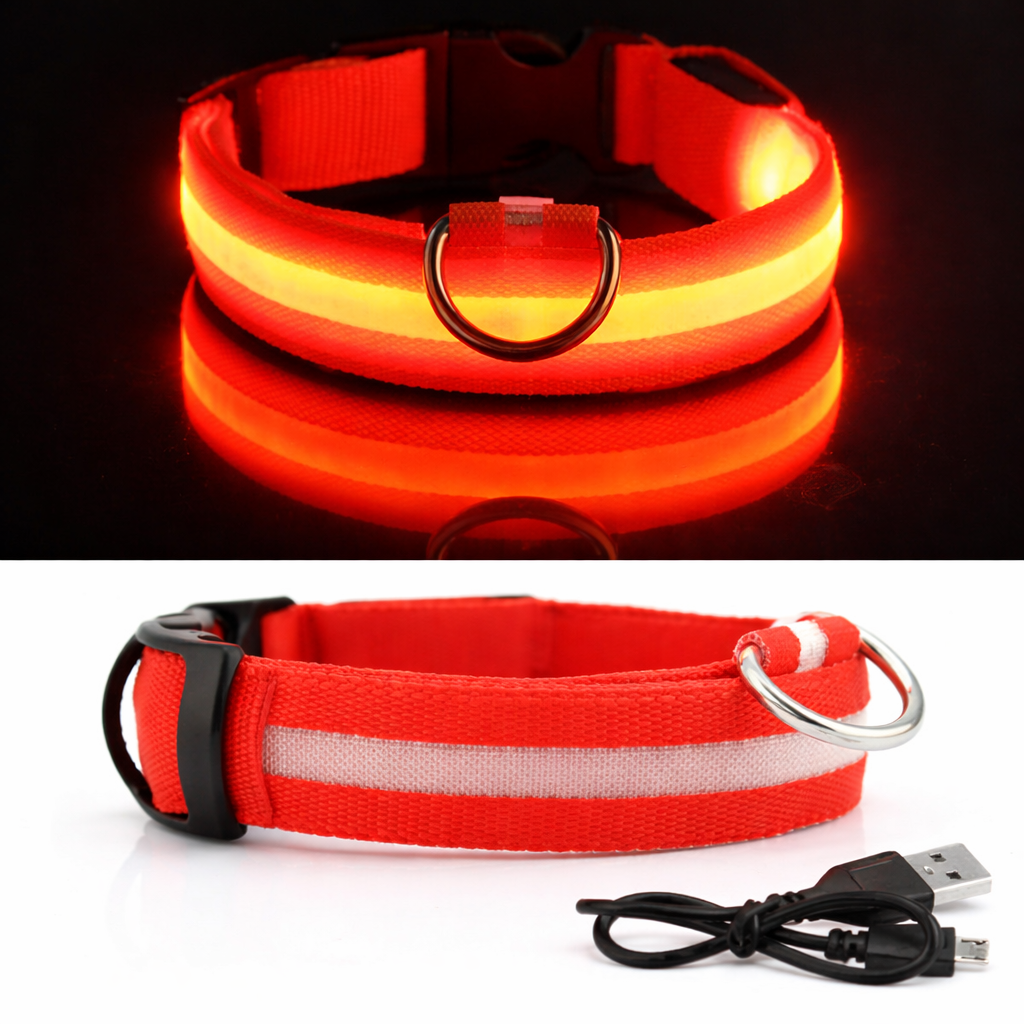 Collier LED Lumineux Pour Chien | Sécurité et visibilité la nuit
