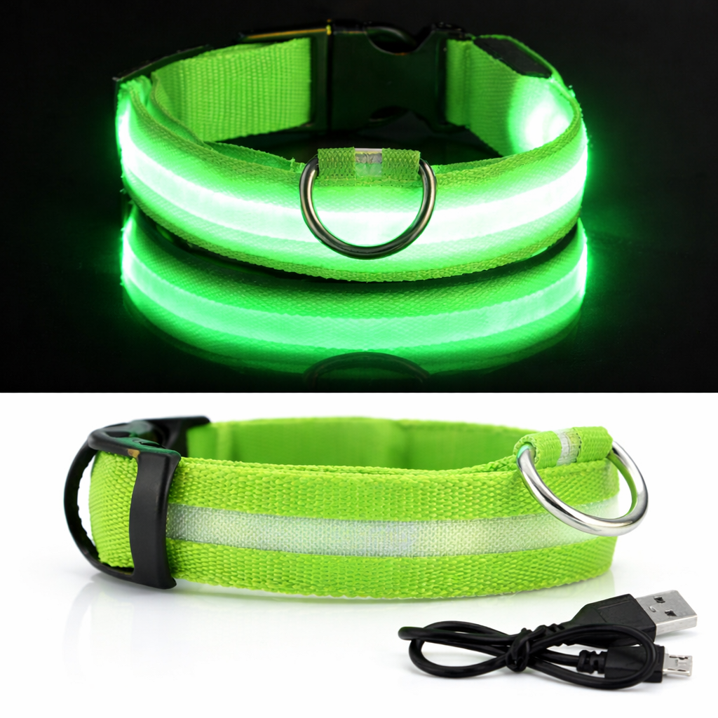 Collier LED Lumineux Pour Chien | Sécurité et visibilité la nuit