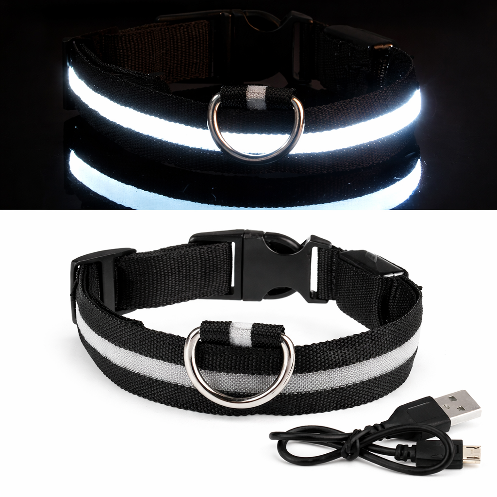 Collier LED Lumineux Pour Chien | Sécurité et visibilité la nuit