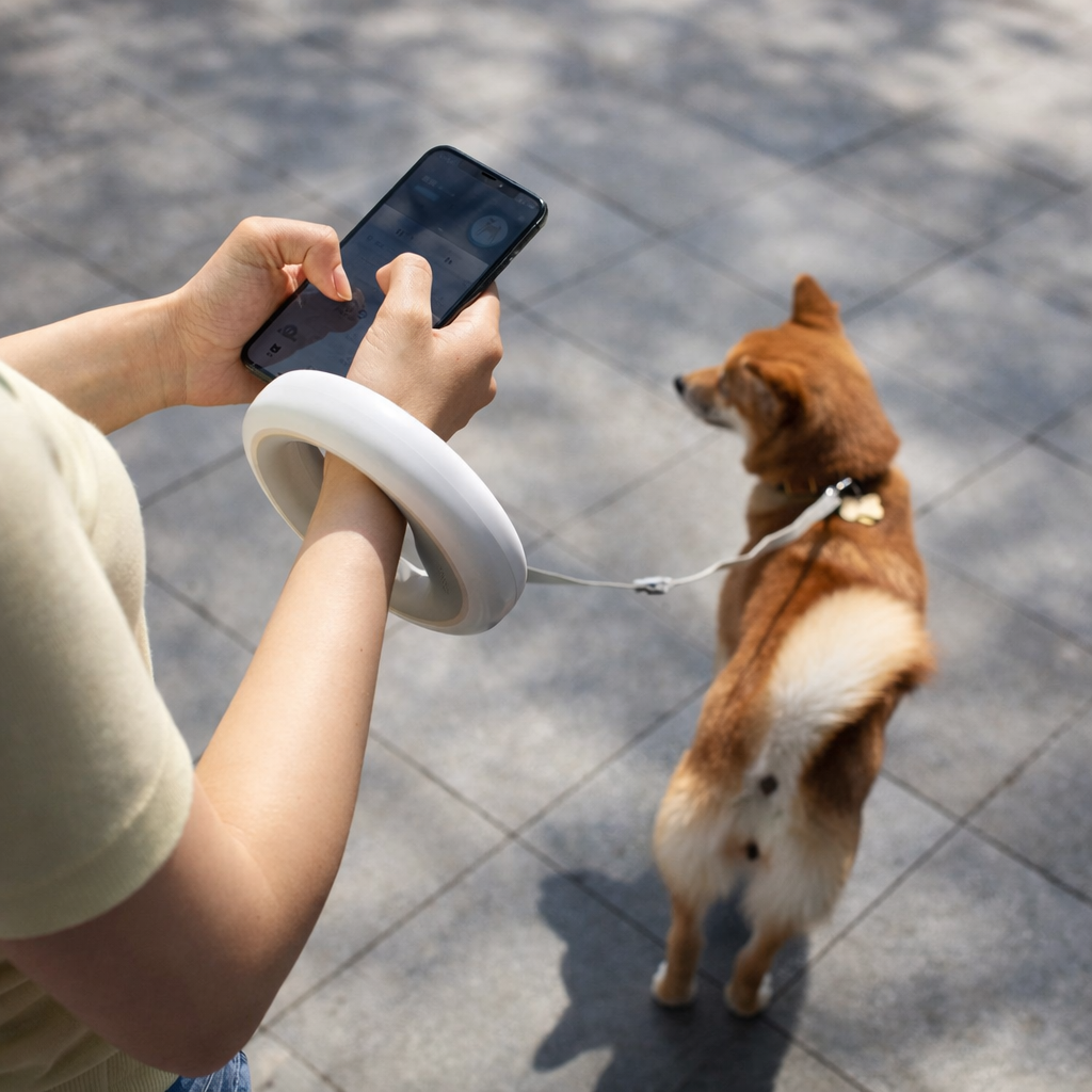 Laisse rétractable mains libres pour chien  – 3 mètres de liberté et de contrôle