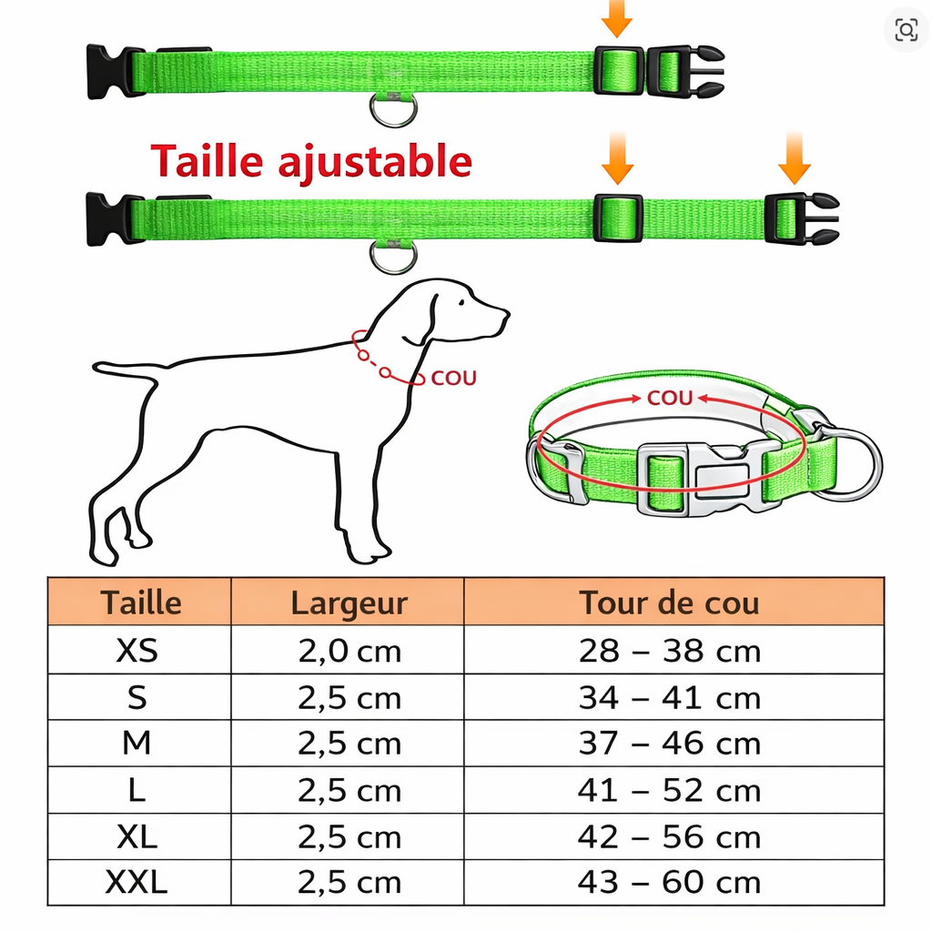 Collier LED Lumineux Pour Chien | Sécurité et visibilité la nuit