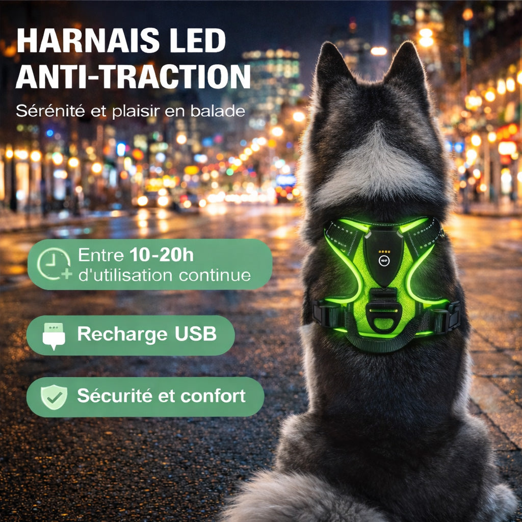 Harnais LED Anti-Traction Chien – Sécurité 360° & Confort