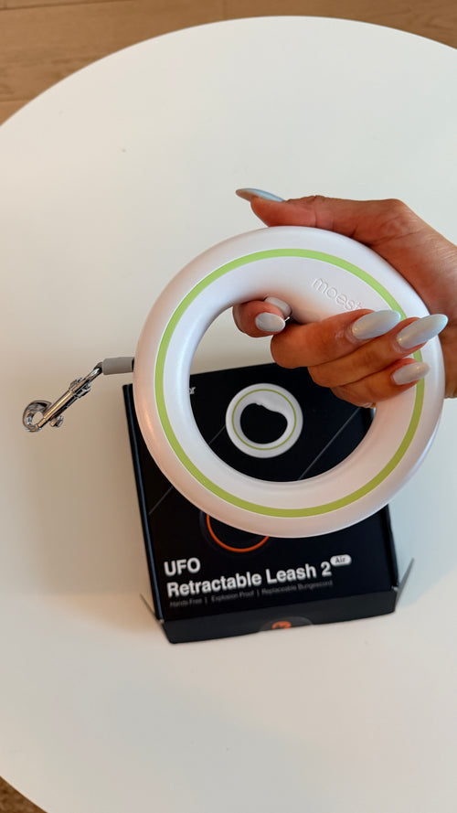 Poignée circulaire ergonomique de la laisse rétractable chien