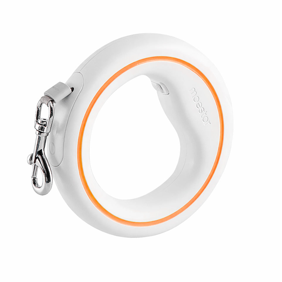 Laisse rétractable mains libres pour chien  – 3 mètres de liberté et de contrôle