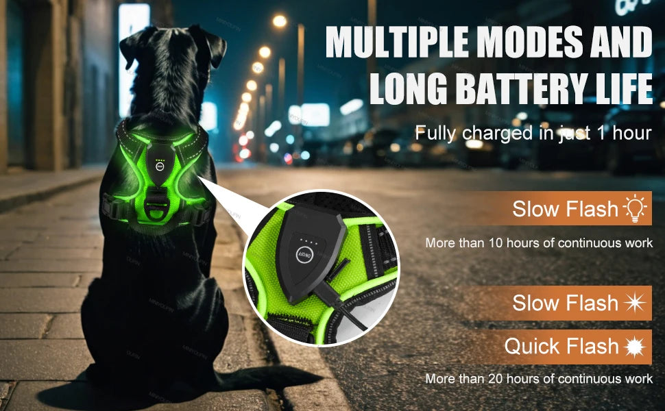 Harnais Chien Lumineux LED Anti-Traction – Visibilité & Sécurité