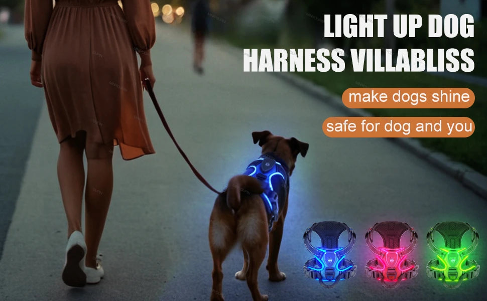 Harnais Chien Lumineux LED Anti-Traction – Visibilité & Sécurité