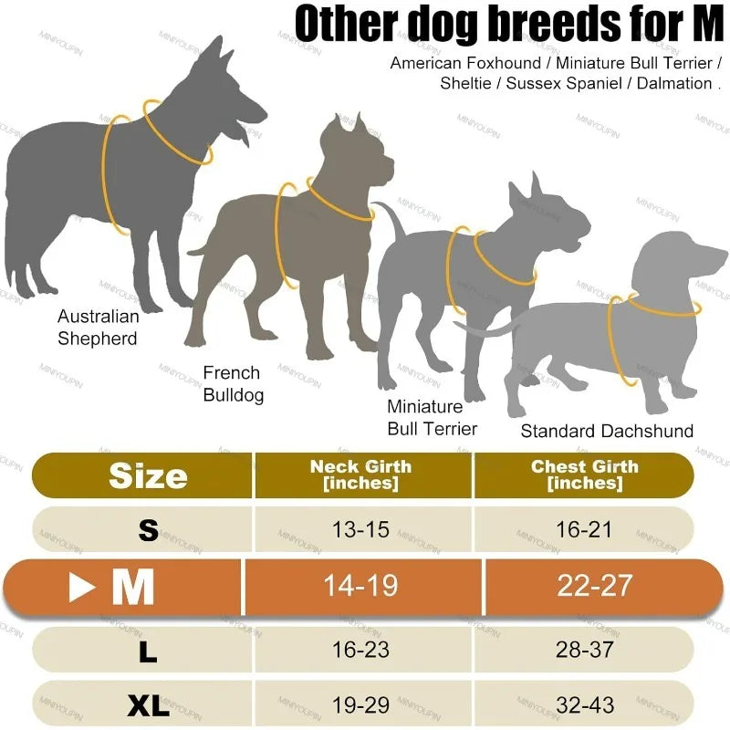 Harnais Chien Lumineux LED Anti-Traction – Visibilité & Sécurité