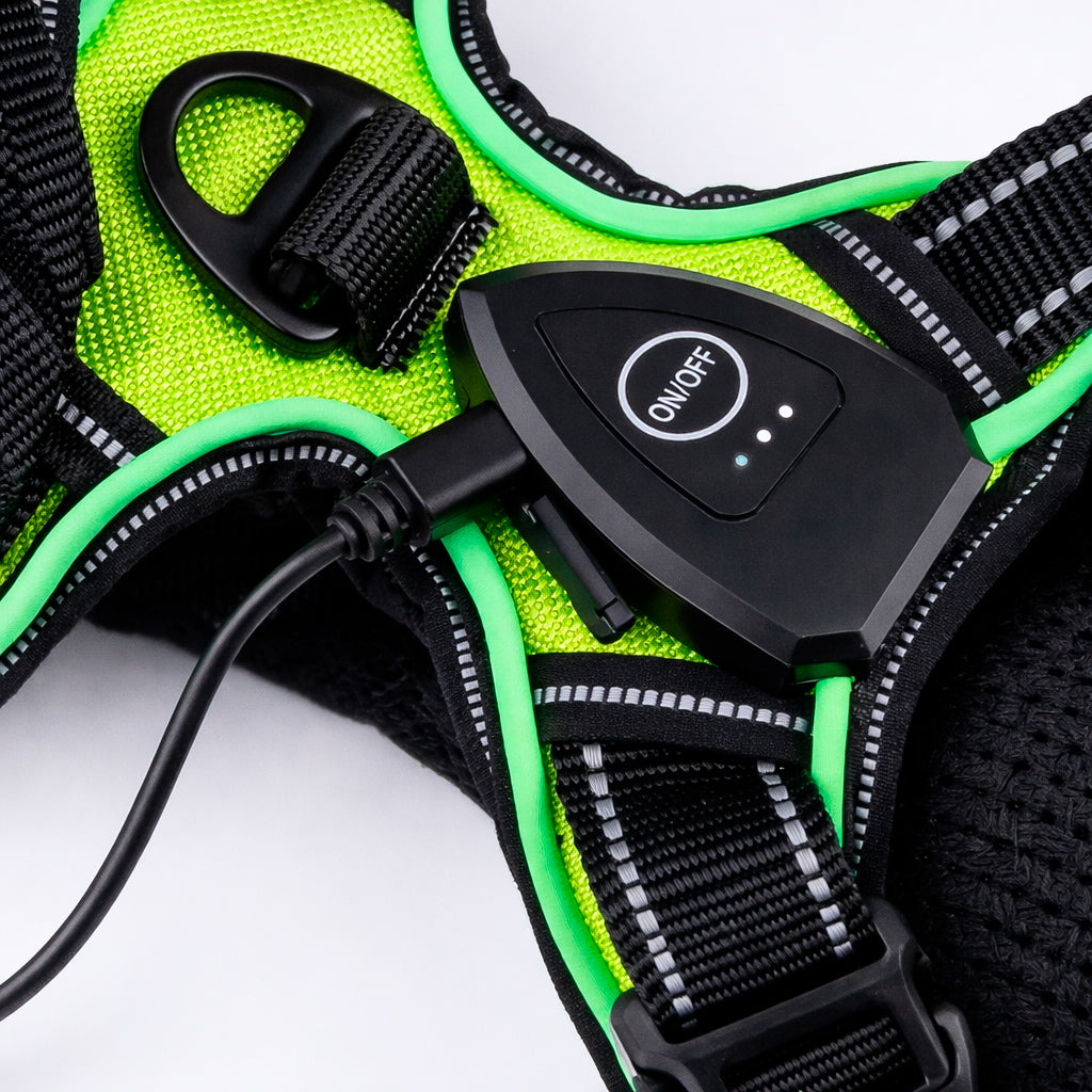 Harnais LED Anti-Traction Chien – Sécurité 360° & Confort