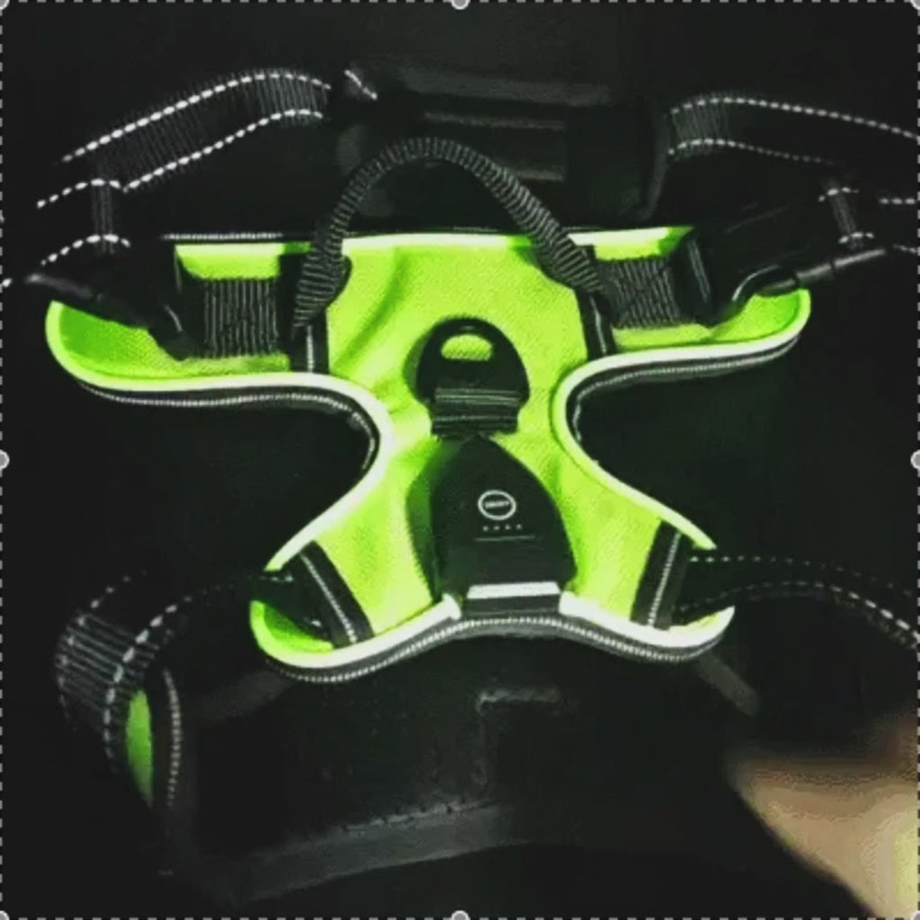 3-in-1 LED-Hundegeschirr – Sichtbarkeit, Kontrolle & Komfort